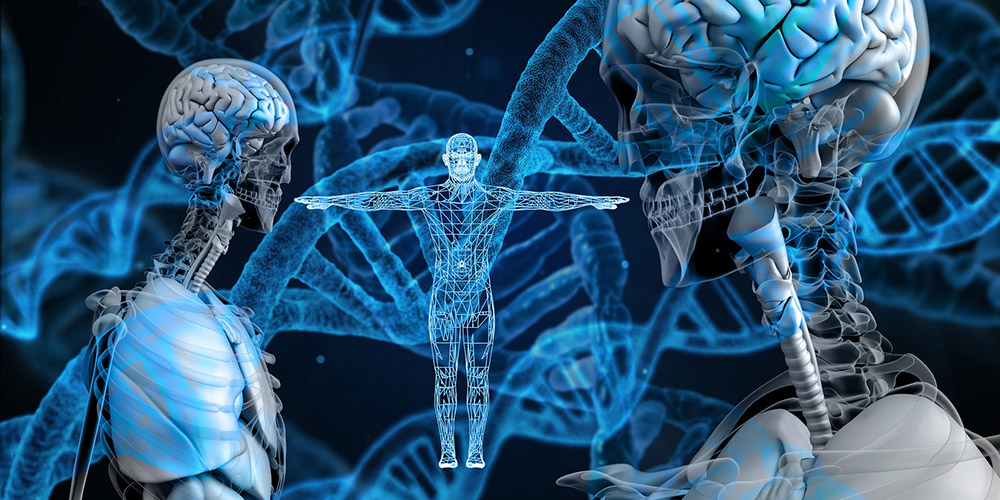 Skeletten, DNA en lichaam