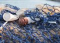 net met plastic afval erin