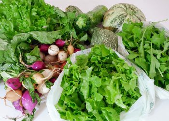 Tafel met groenten. Courgette, rucola, sla en gekleurde radijsjes