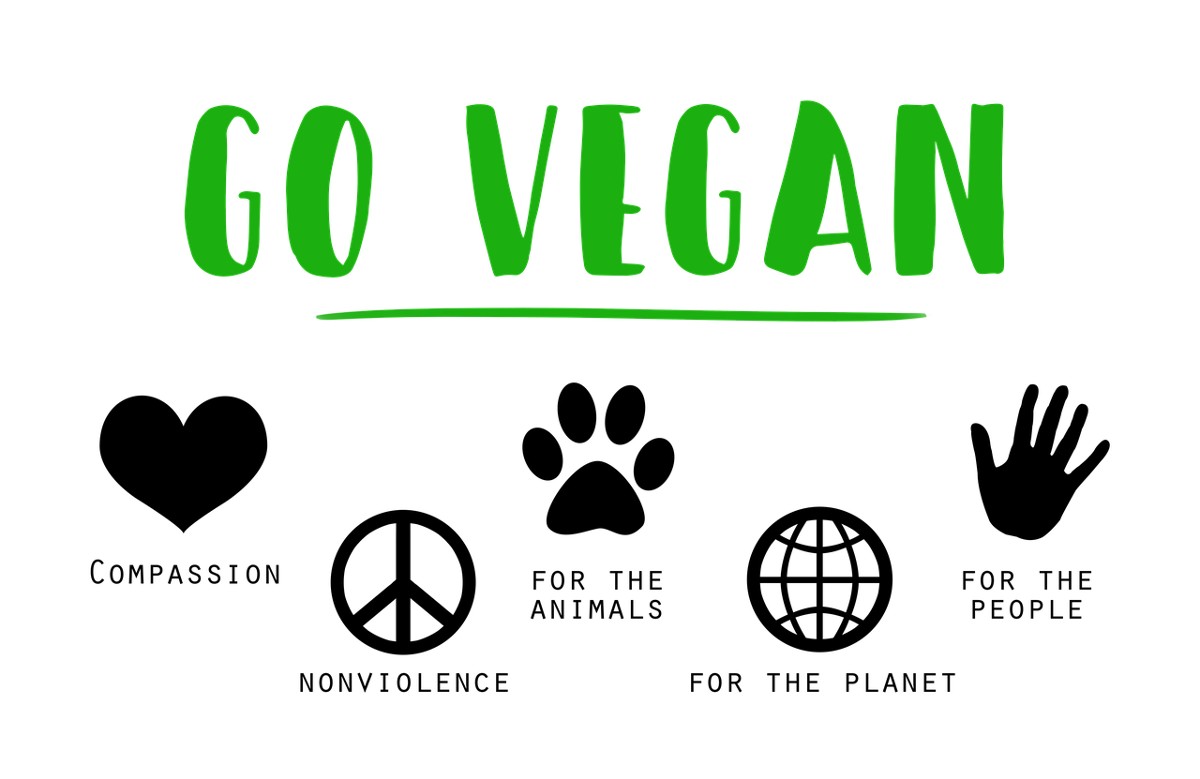 Go vegan tekst met de redenen waarom je vegan kunt worden